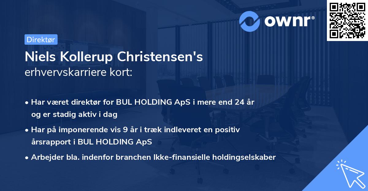 Niels Kollerup Christensen's erhvervskarriere kort