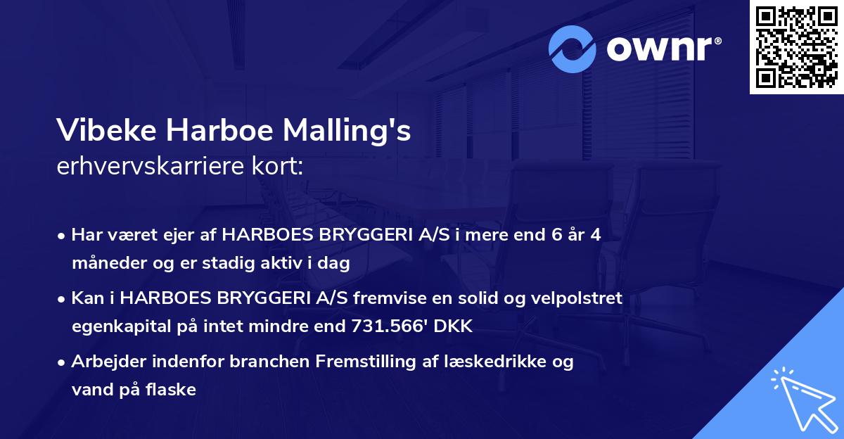 Vibeke Harboe Malling's erhvervskarriere kort