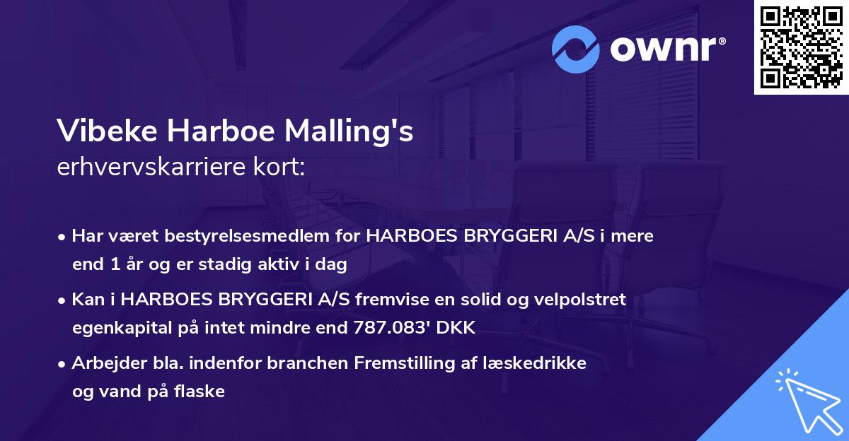 Vibeke Harboe Malling's erhvervskarriere kort