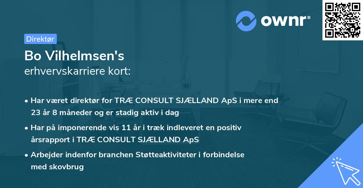 Bo Vilhelmsen's erhvervskarriere kort