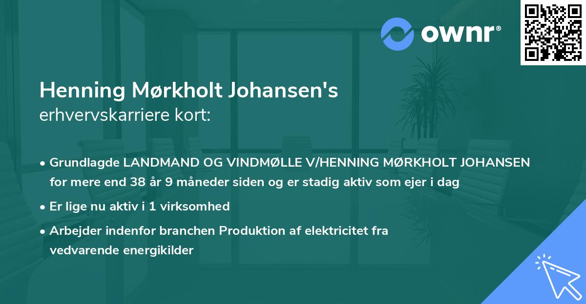 Henning Mørkholt Johansen's erhvervskarriere kort