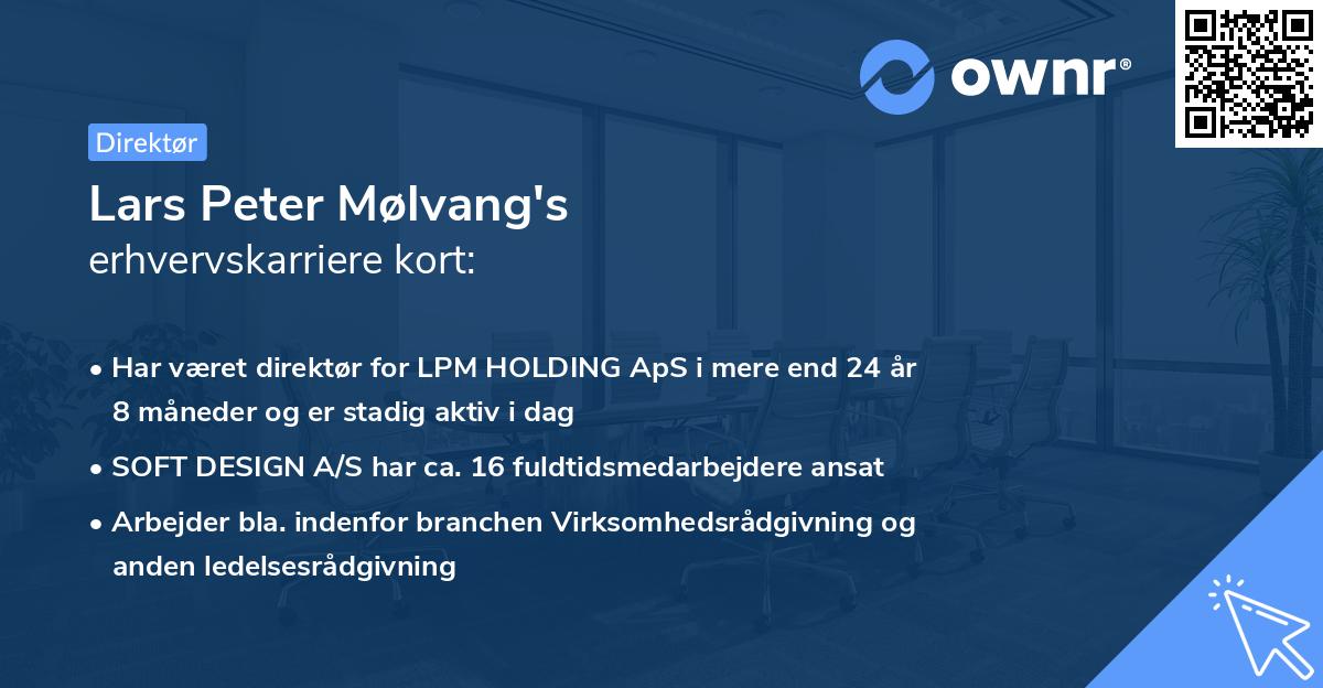 Lars Peter Mølvang's erhvervskarriere kort