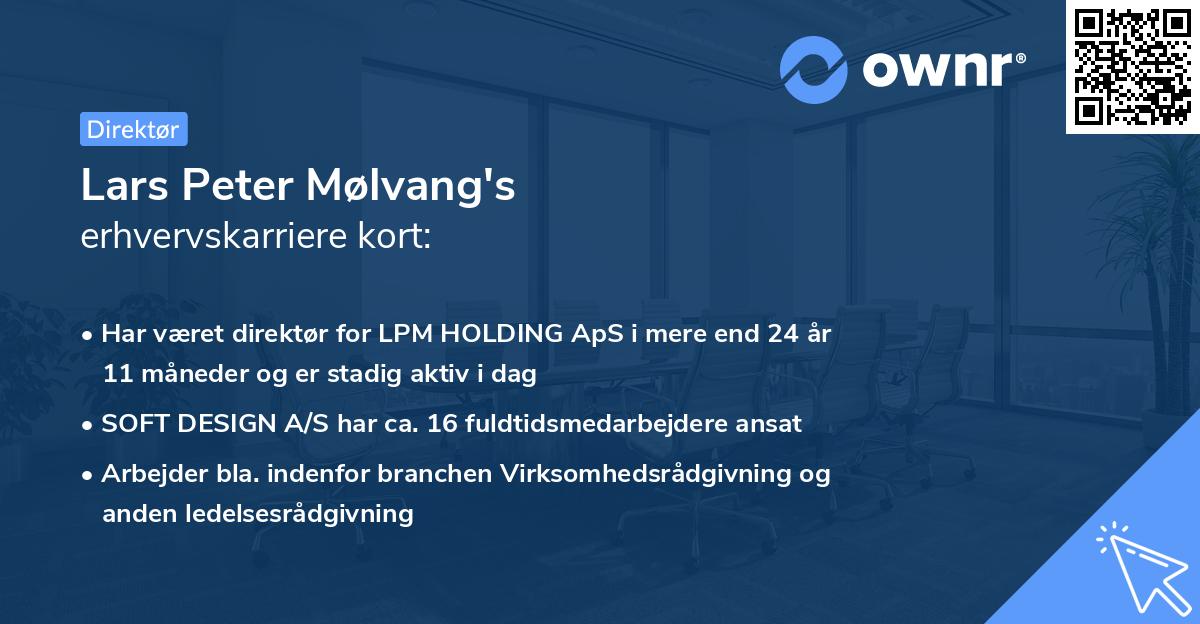 Lars Peter Mølvang's erhvervskarriere kort