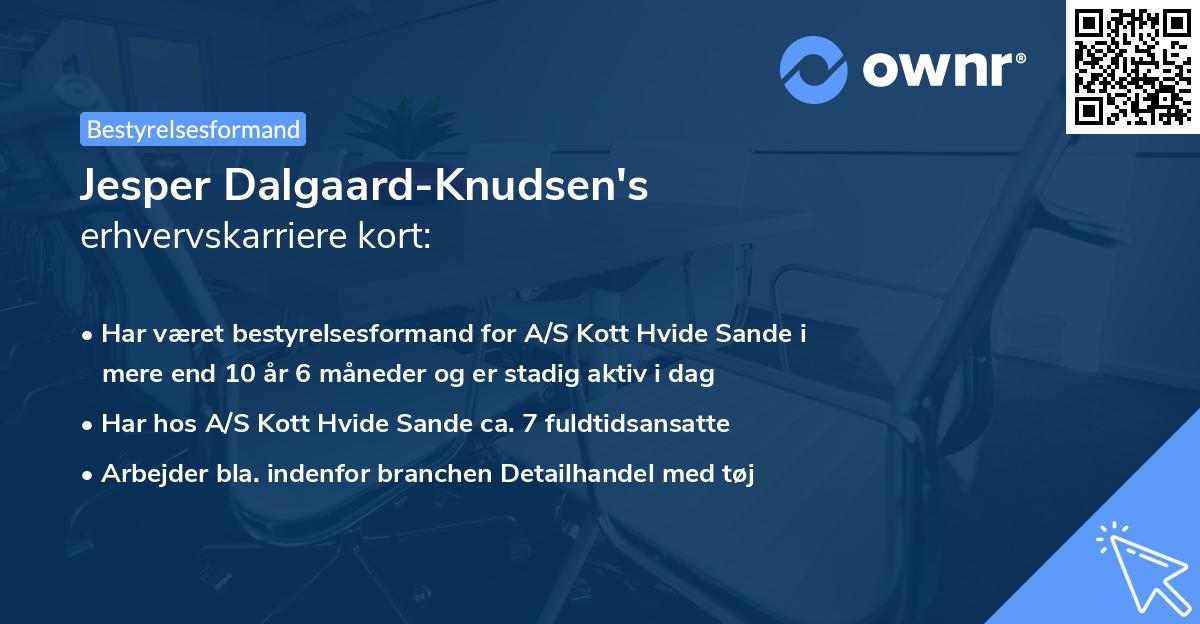 Jesper Dalgaard-Knudsen's erhvervskarriere kort