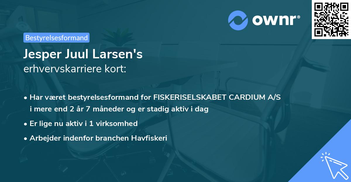 Jesper Juul Larsen's erhvervskarriere kort