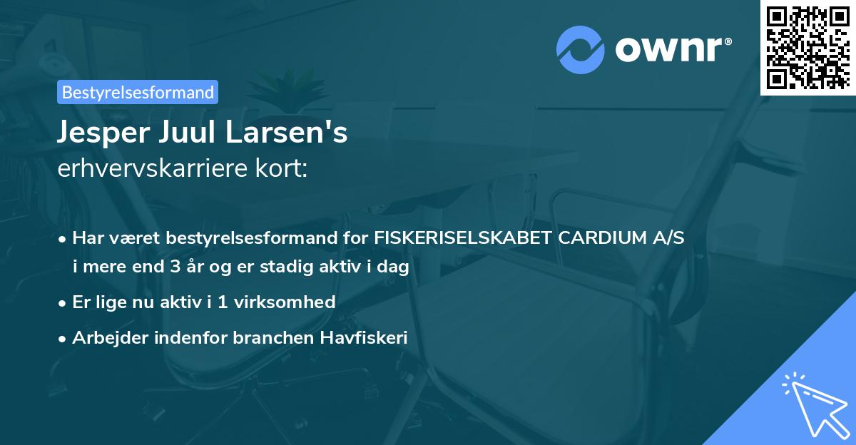 Jesper Juul Larsen's erhvervskarriere kort