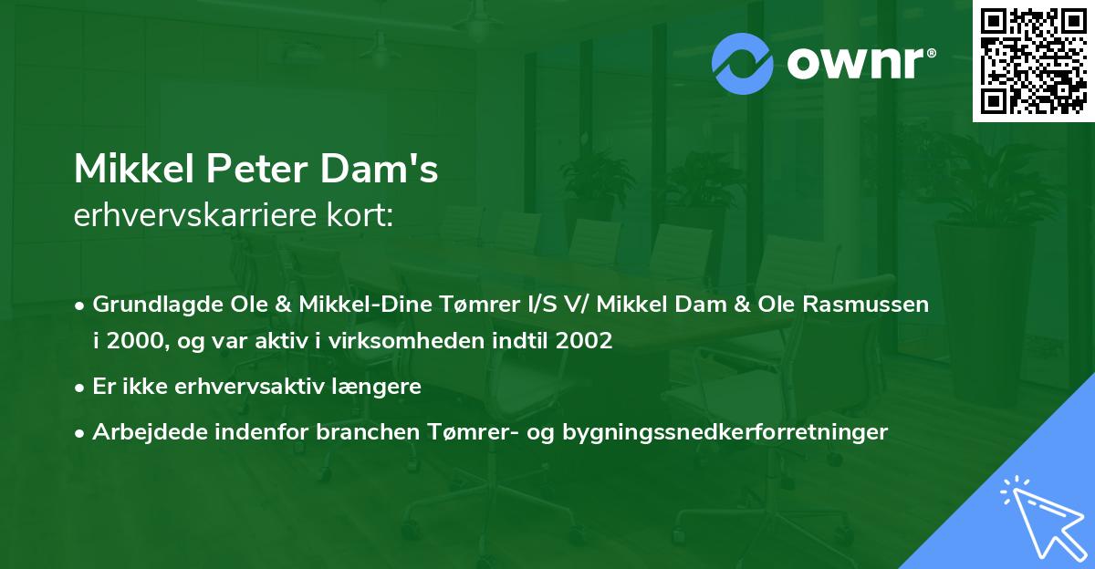 Mikkel Peter Dam's erhvervskarriere kort