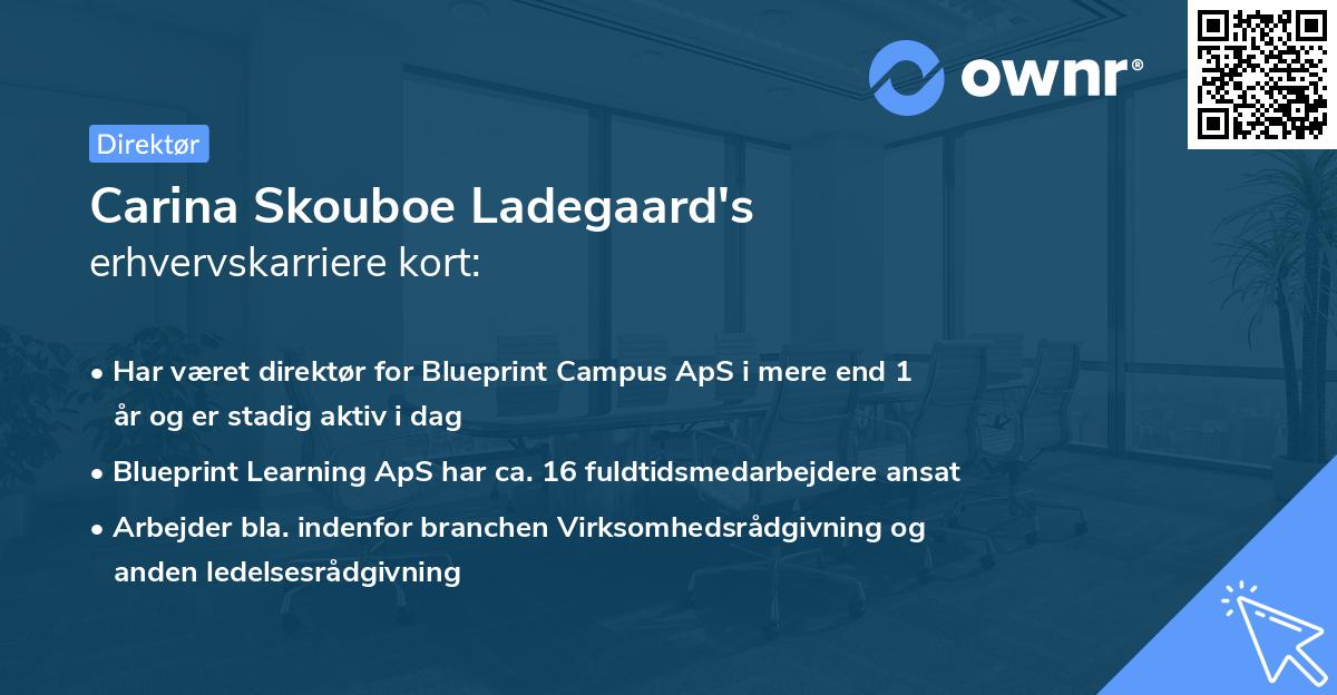 Carina Skouboe Ladegaard's erhvervskarriere kort