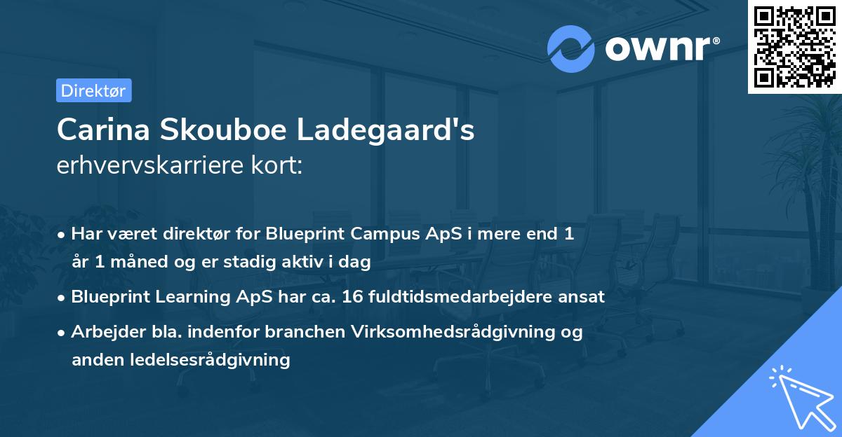 Carina Skouboe Ladegaard's erhvervskarriere kort