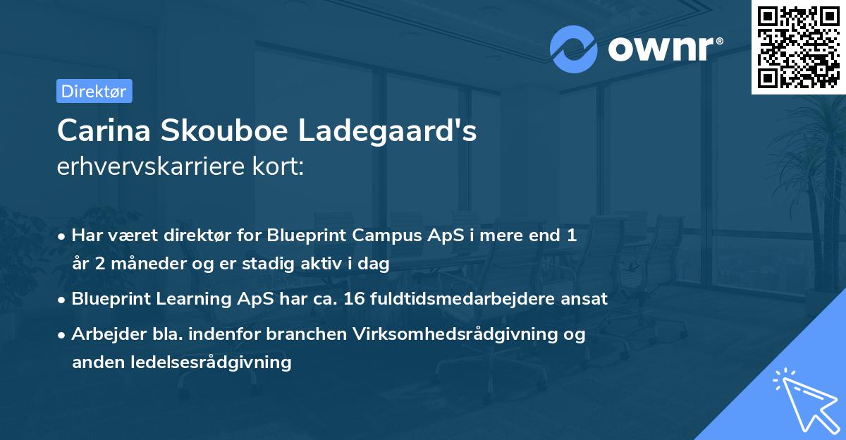 Carina Skouboe Ladegaard's erhvervskarriere kort