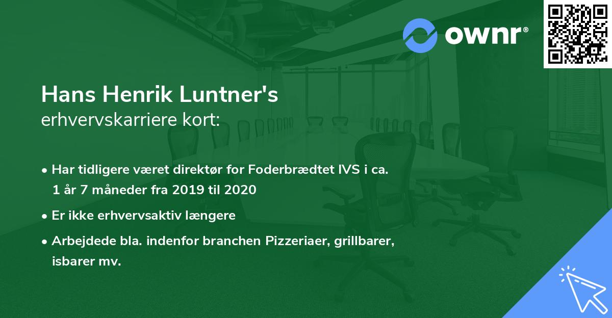 Hans Henrik Luntner's erhvervskarriere kort