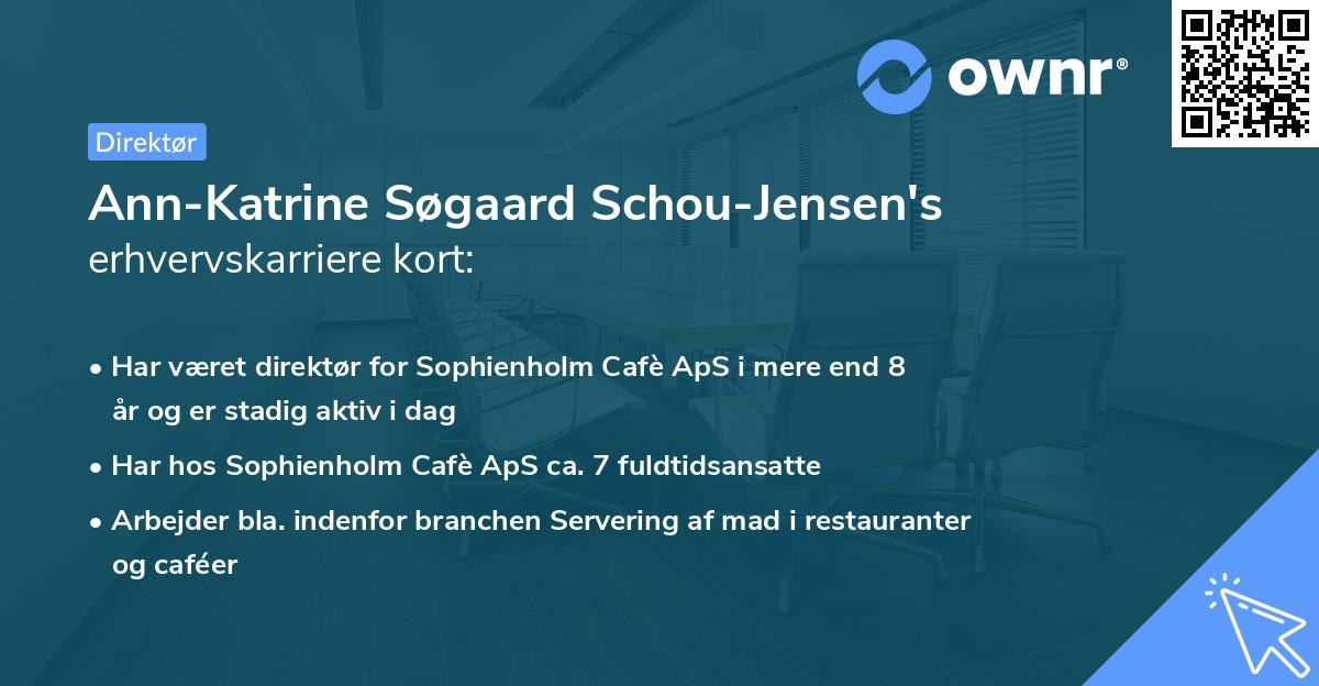 Ann-Katrine Søgaard Schou-Jensen's erhvervskarriere kort