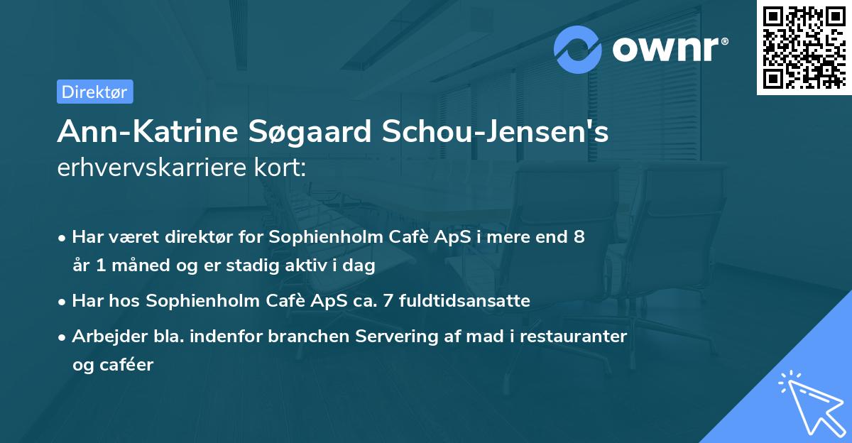 Ann-Katrine Søgaard Schou-Jensen's erhvervskarriere kort