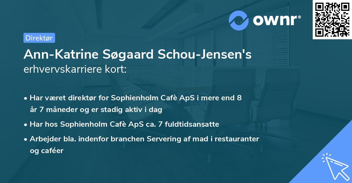 Ann-Katrine Søgaard Schou-Jensen's erhvervskarriere kort
