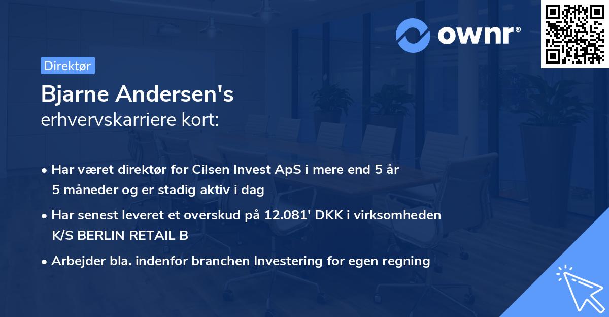 Bjarne Andersen's erhvervskarriere kort