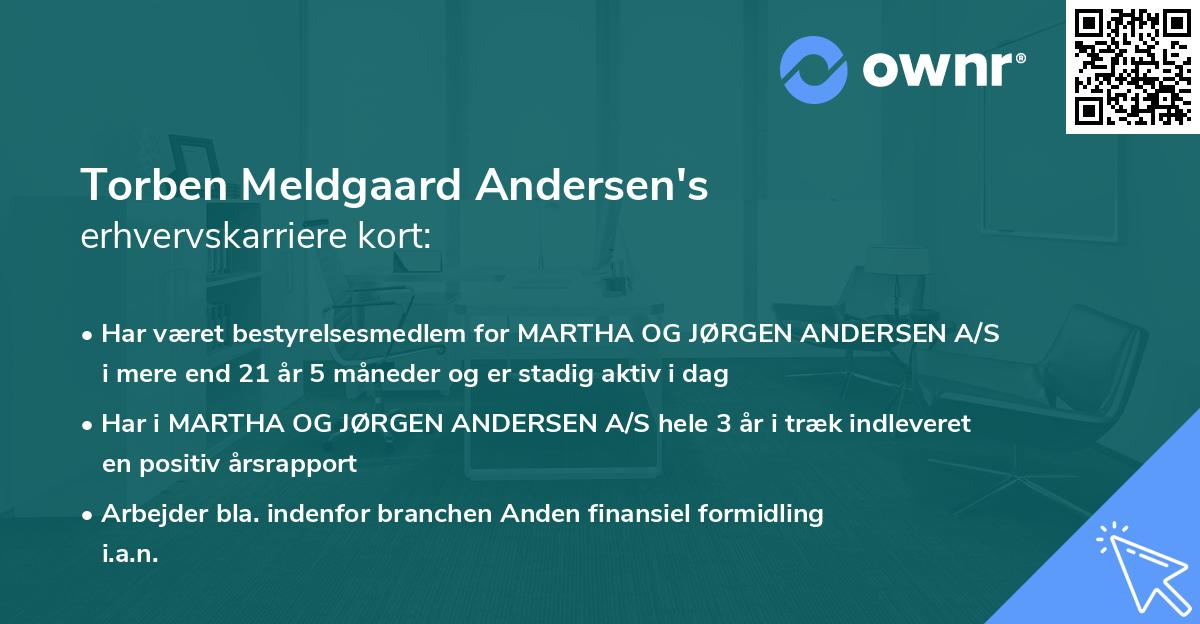 Torben Meldgaard Andersen's erhvervskarriere kort