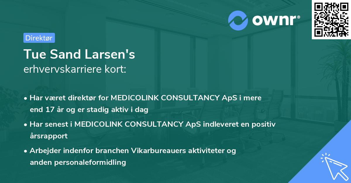 Tue Sand Larsen's erhvervskarriere kort