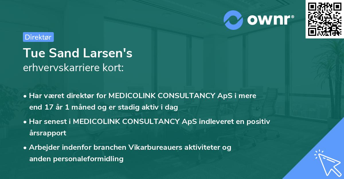 Tue Sand Larsen's erhvervskarriere kort