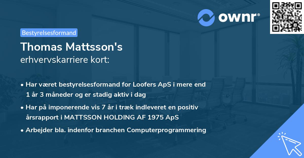 Thomas Mattsson's erhvervskarriere kort