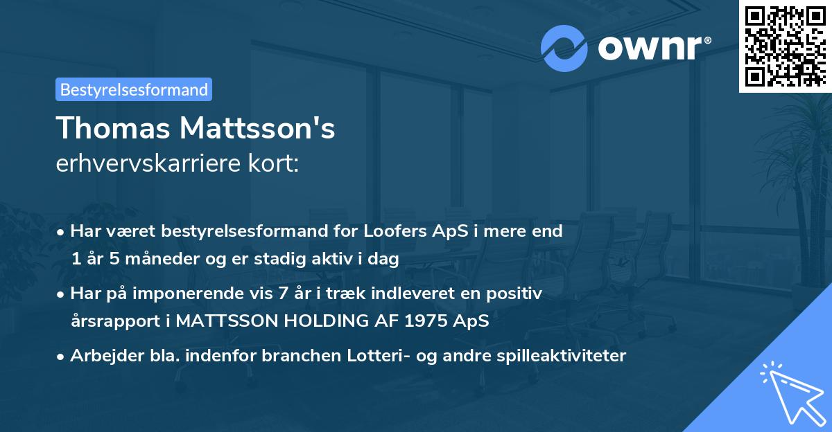 Thomas Mattsson's erhvervskarriere kort