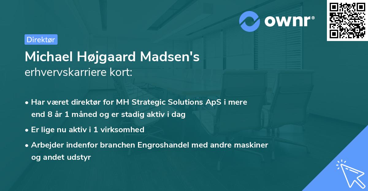Michael Højgaard Madsen's erhvervskarriere kort