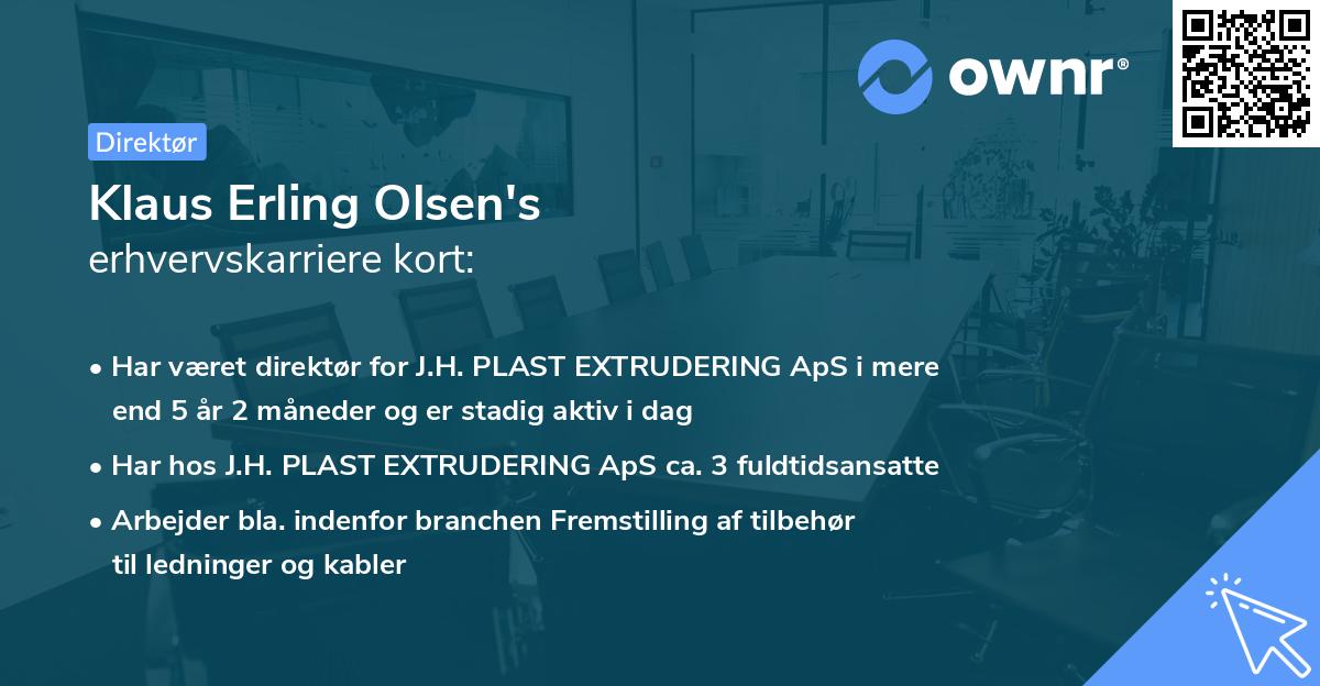 Klaus Erling Olsen's erhvervskarriere kort