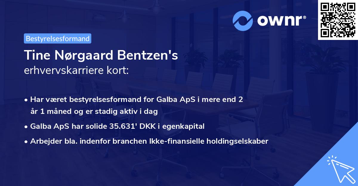 Tine Nørgaard Bentzen's erhvervskarriere kort