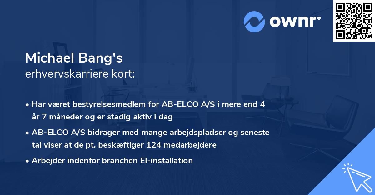 Michael Bang's erhvervskarriere kort