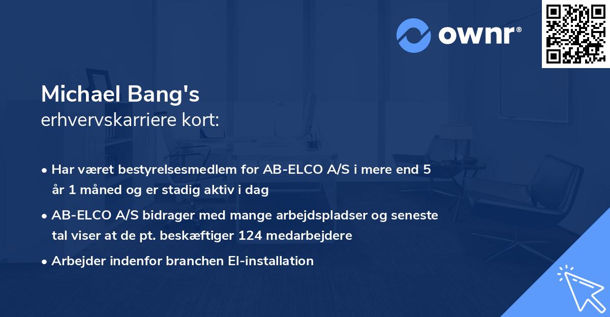 Michael Bang's erhvervskarriere kort