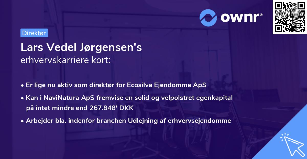 Lars Vedel Jørgensen's erhvervskarriere kort