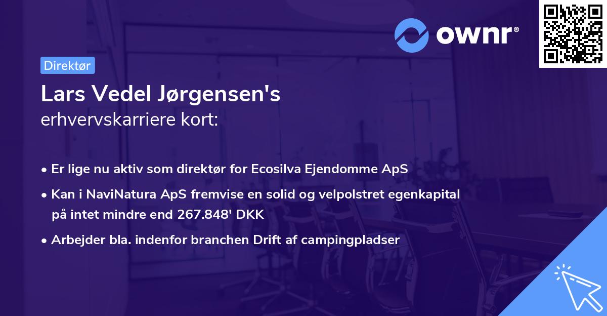 Lars Vedel Jørgensen's erhvervskarriere kort