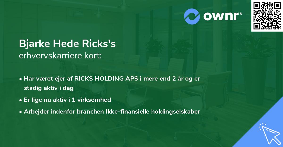 Bjarke Hede Ricks's erhvervskarriere kort