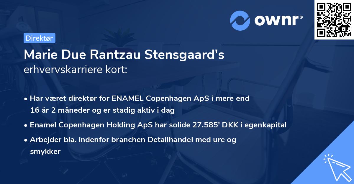 Marie Due Rantzau Stensgaard's erhvervskarriere kort