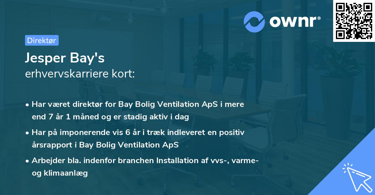 Jesper Bay's erhvervskarriere kort