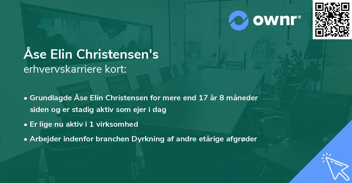 Åse Elin Christensen's erhvervskarriere kort