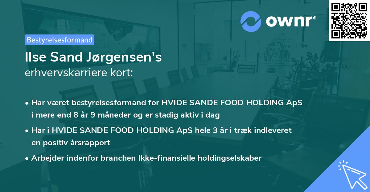 Ilse Sand Jørgensen's erhvervskarriere kort