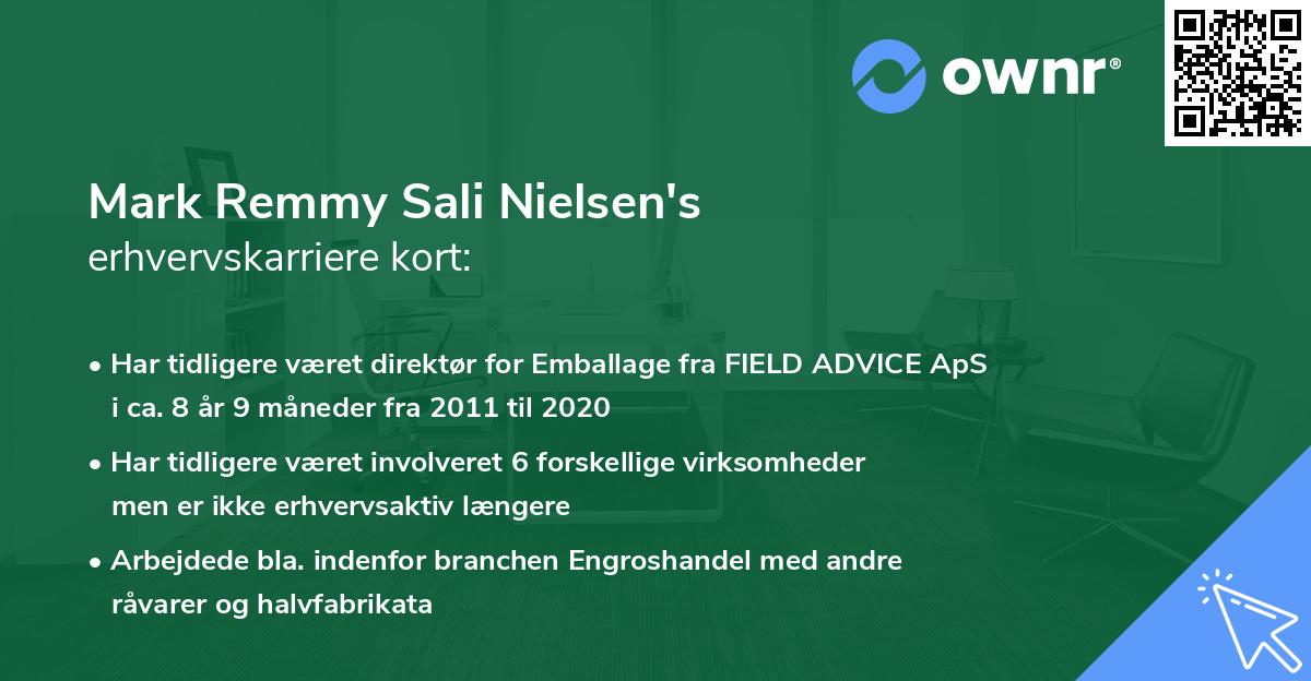 Mark Remmy Sali Nielsen's erhvervskarriere kort