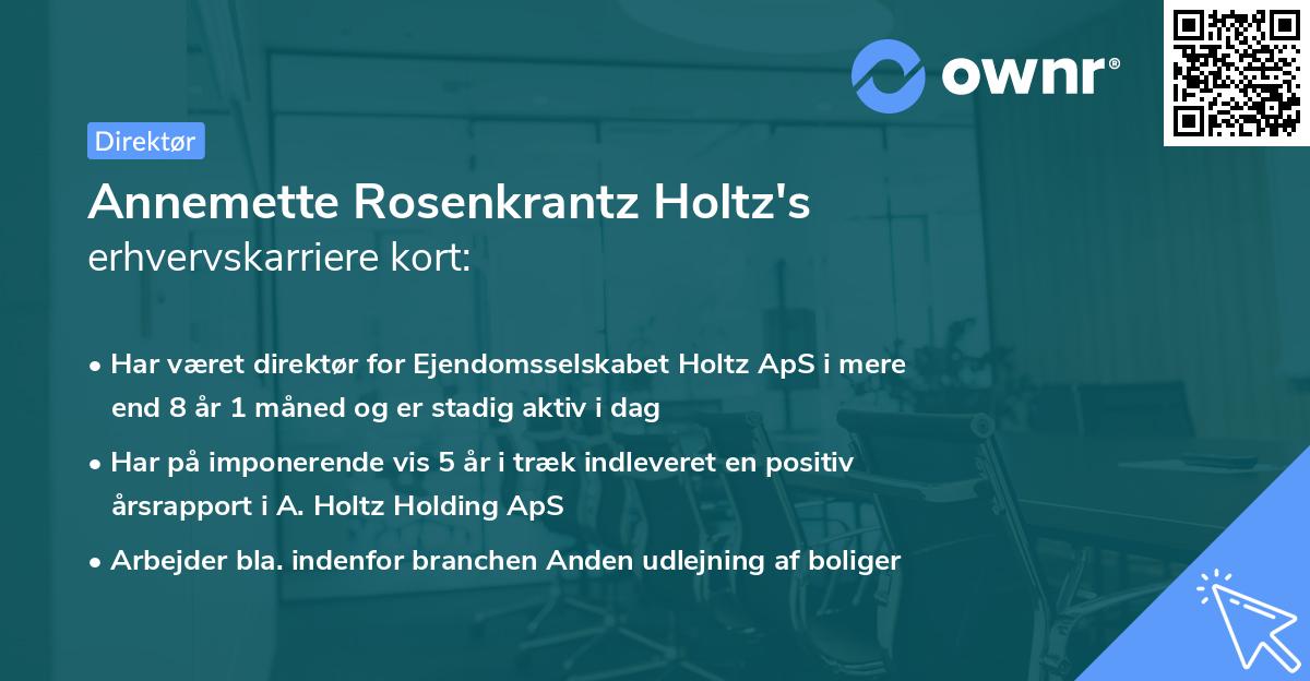 Annemette Rosenkrantz Holtz's erhvervskarriere kort