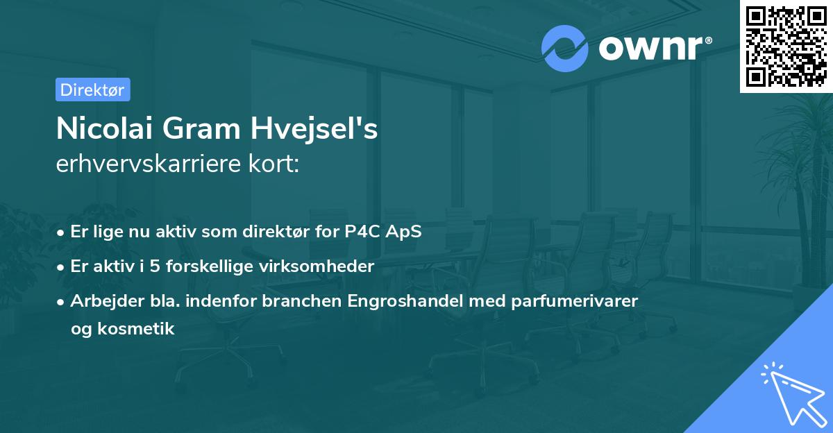 Nicolai Gram Hvejsel's erhvervskarriere kort