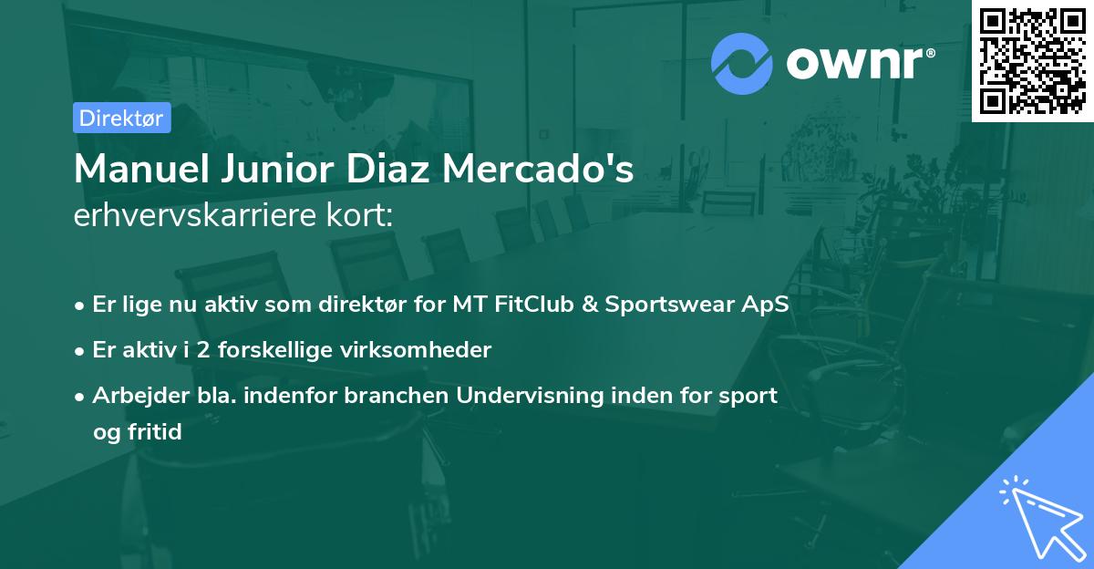 Manuel Junior Diaz Mercado's erhvervskarriere kort