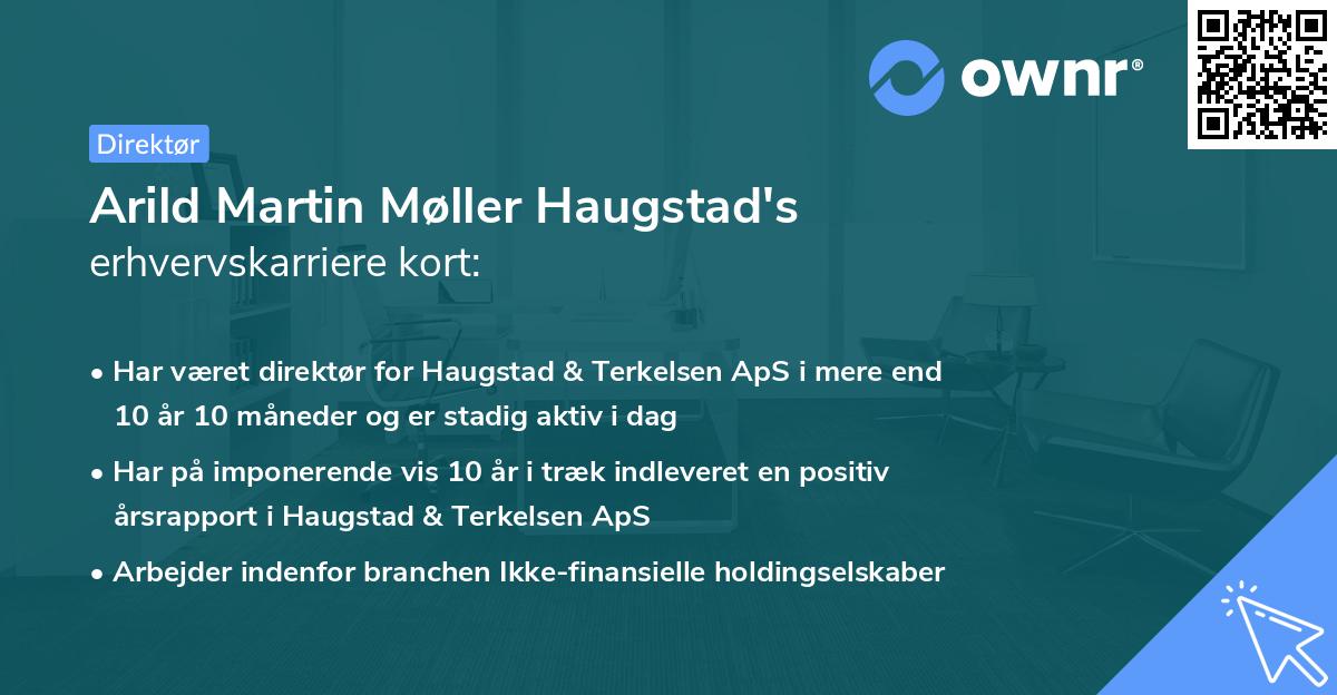 Arild Martin Møller Haugstad's erhvervskarriere kort