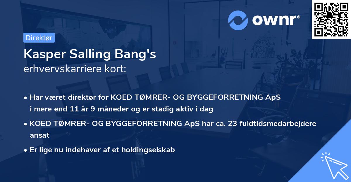 Kasper Salling Bang's erhvervskarriere kort