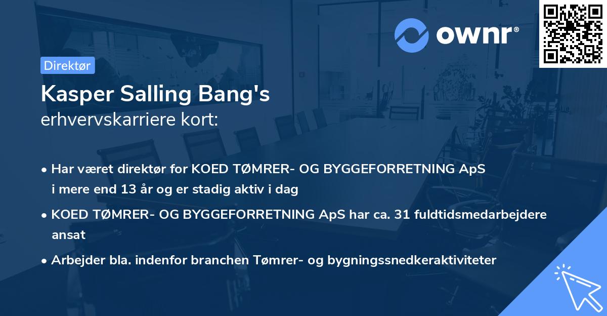 Kasper Salling Bang's erhvervskarriere kort