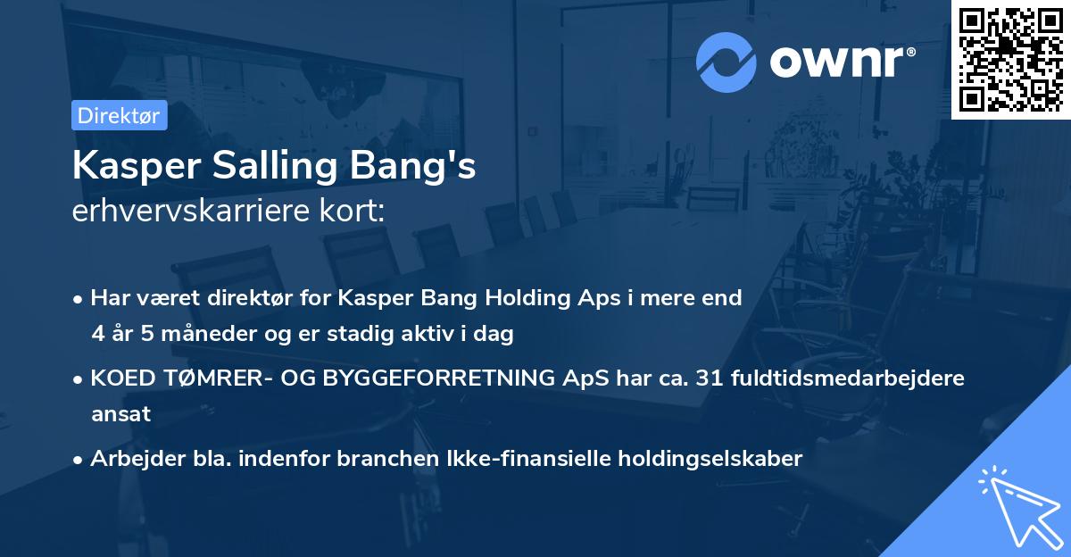 Kasper Salling Bang's erhvervskarriere kort