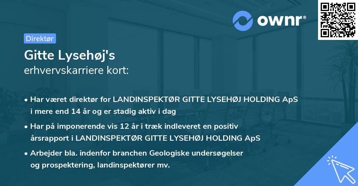 Gitte Lysehøj's erhvervskarriere kort
