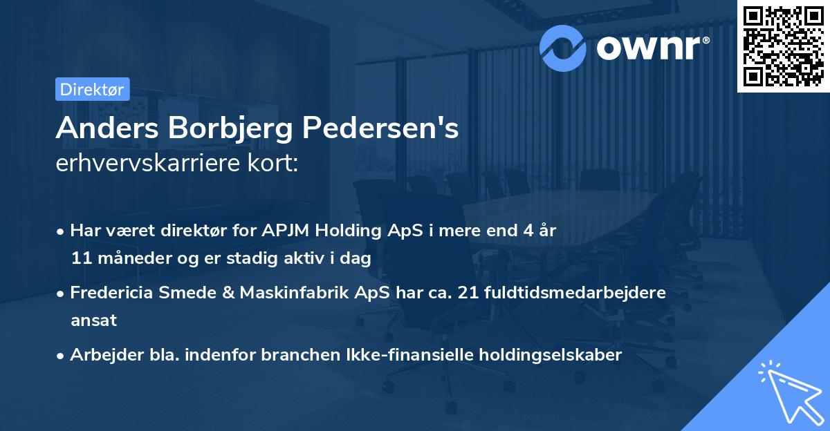 Anders Borbjerg Pedersen's erhvervskarriere kort