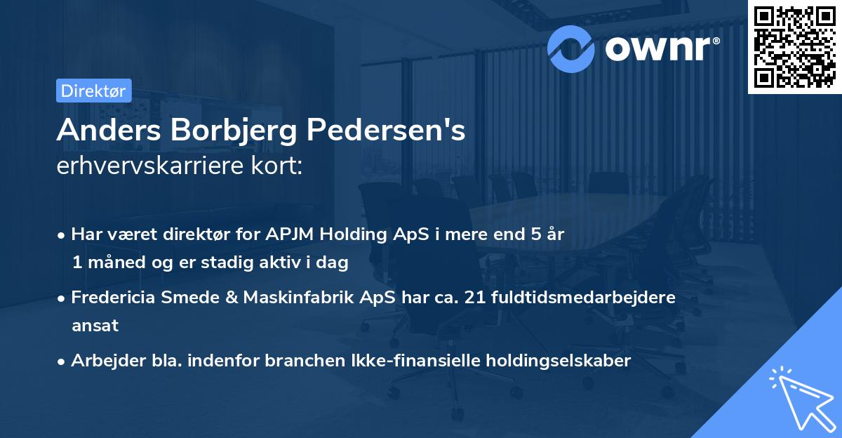 Anders Borbjerg Pedersen's erhvervskarriere kort