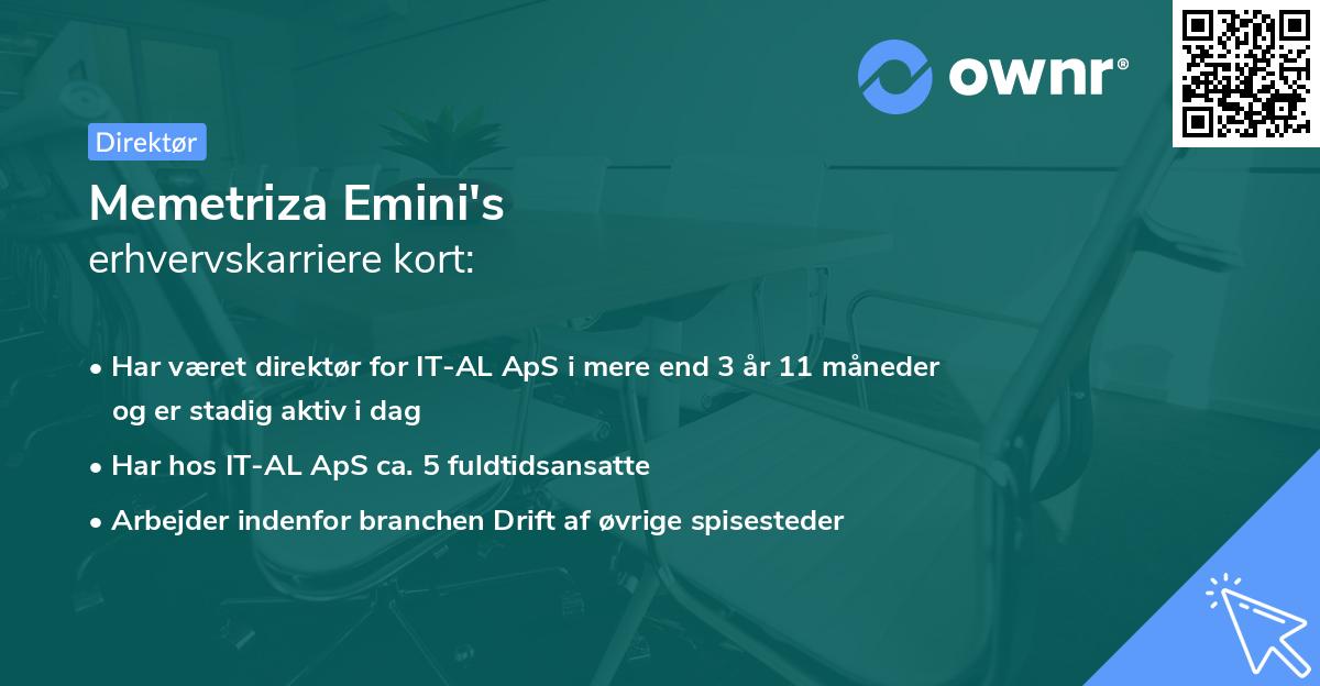 Memetriza Emini's erhvervskarriere kort