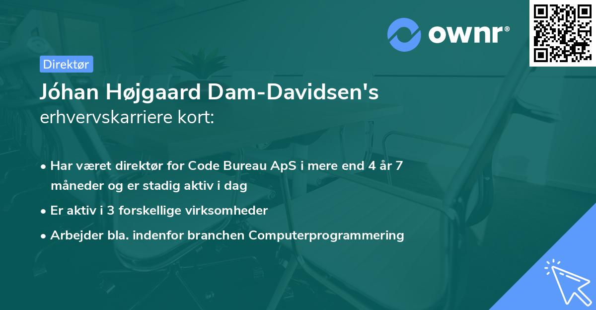 Jóhan Højgaard Dam-Davidsen's erhvervskarriere kort