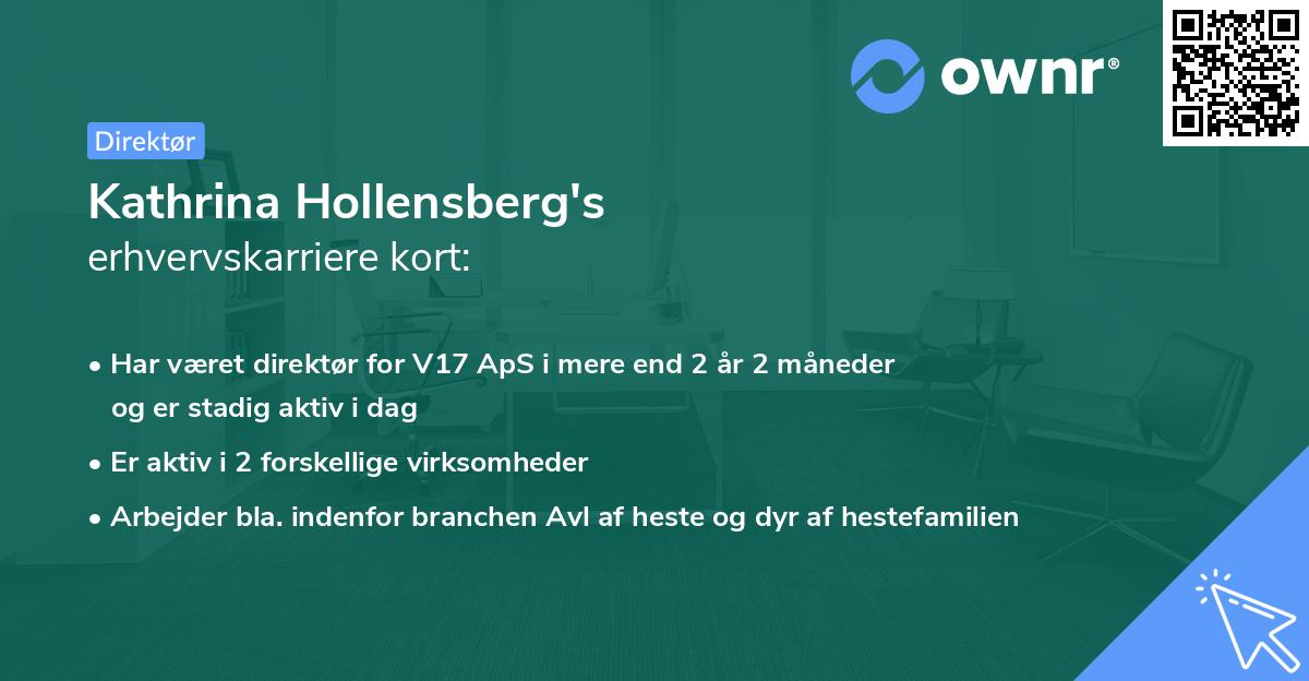 Kathrina Hollensberg's erhvervskarriere kort